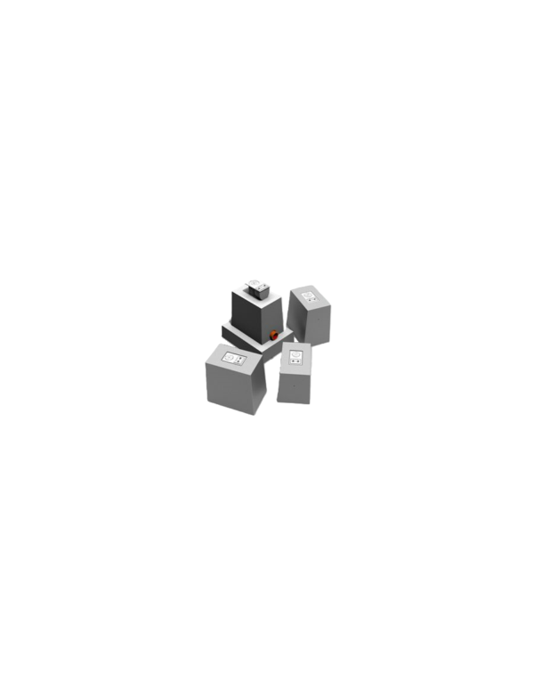 Pipe-Lock® EVO Ø 76 mm H = 600 mm met betonpoer